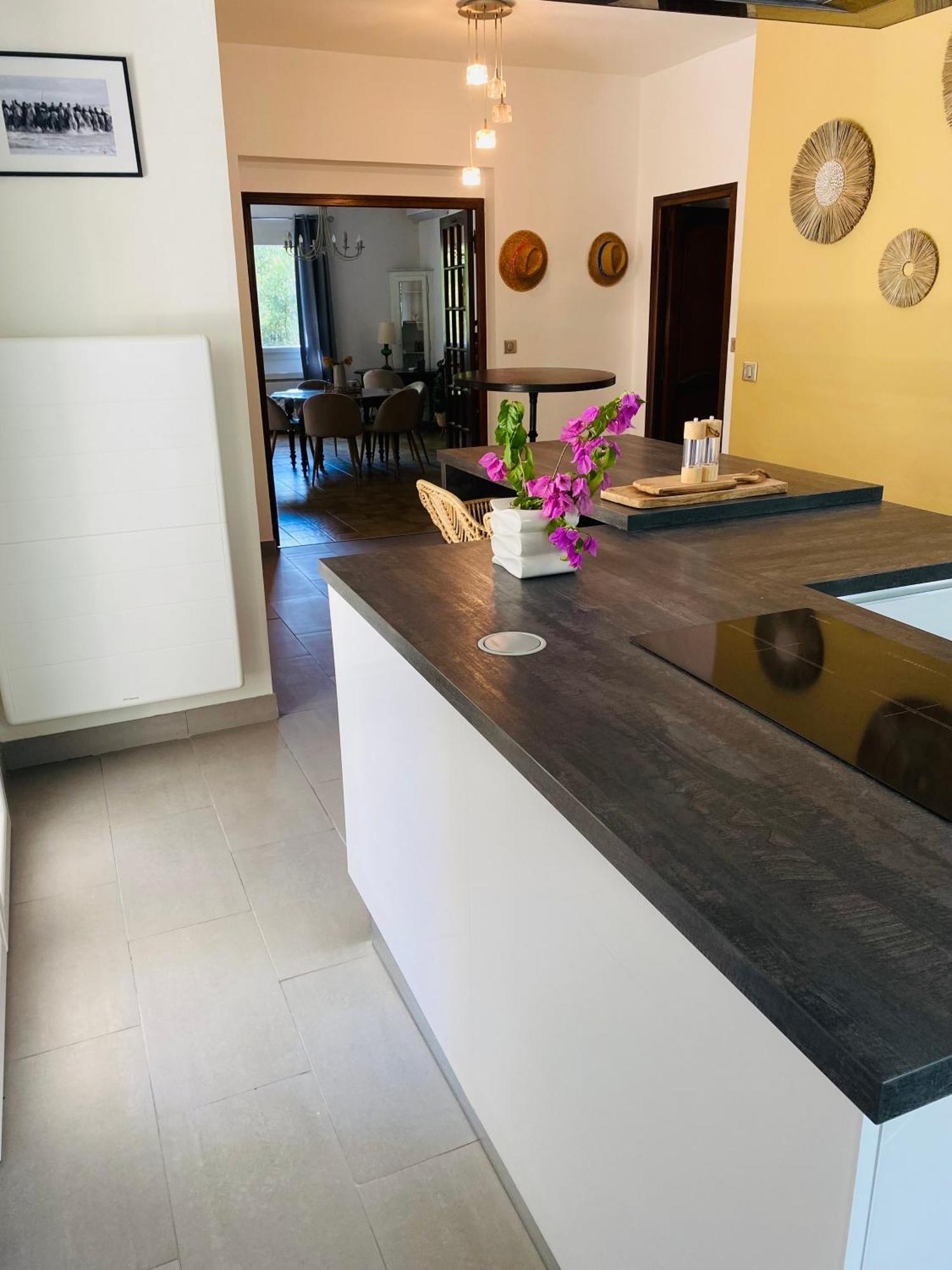 Magnifique Villa Typique Du Sud Avec Piscine Privee Et Jardin Mediterraneen Saint-Vincent-de-Barbeyrargues Екстериор снимка