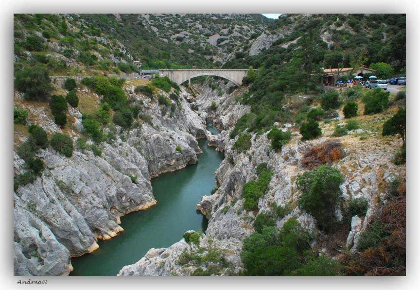 Magnifique Villa Typique Du Sud Avec Piscine Privee Et Jardin Mediterraneen Saint-Vincent-de-Barbeyrargues Екстериор снимка