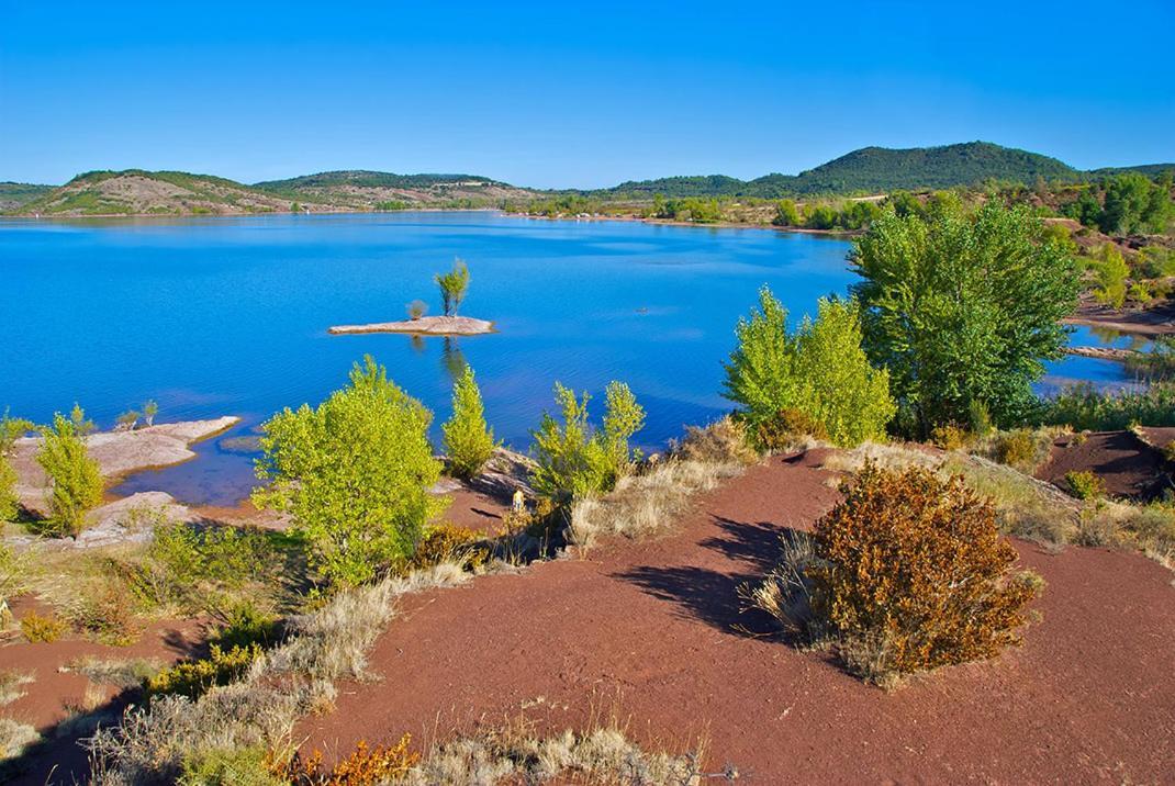 Magnifique Villa Typique Du Sud Avec Piscine Privee Et Jardin Mediterraneen Saint-Vincent-de-Barbeyrargues Екстериор снимка