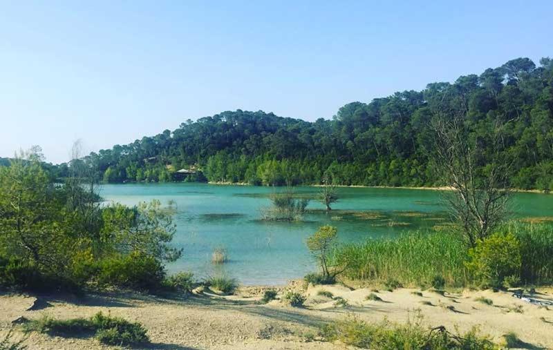 Magnifique Villa Typique Du Sud Avec Piscine Privee Et Jardin Mediterraneen Saint-Vincent-de-Barbeyrargues Екстериор снимка